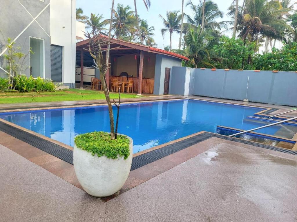 Canela Villa And Resort Ахангама Экстерьер фото